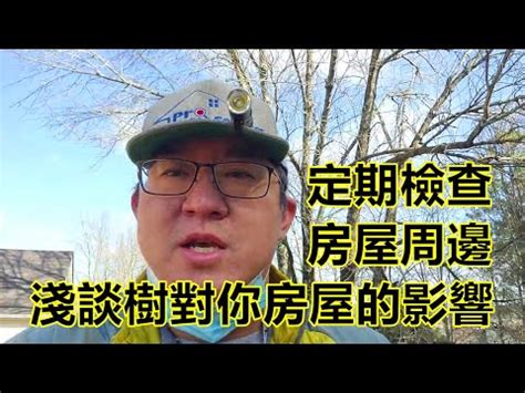 房子旁邊有樹|樹高過丈即有煞，樹木繞屋的風水禁忌